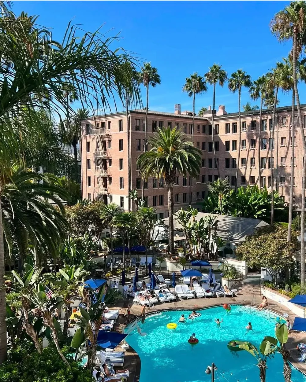 A sunlit hotel pool framed by palm trees